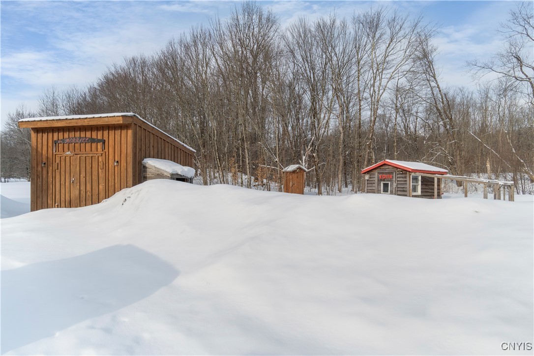 88 Case Road Williamstown, NY 13493 - Photo 21 of 28 Shed & Chicken Coop in the backyard