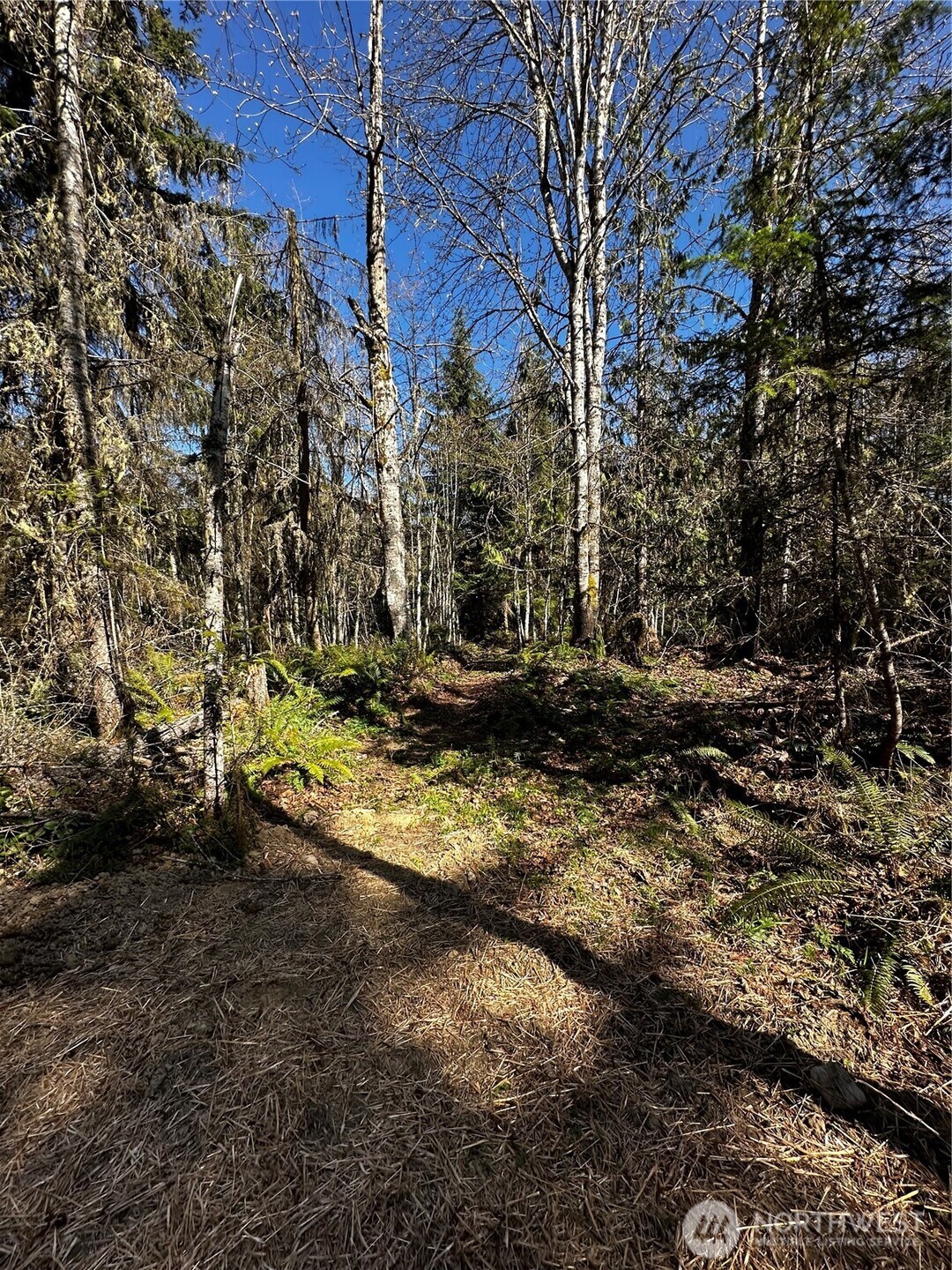 1 Robinson Rd Port Port Angeles, WA 98362 - Photo 10 of 10