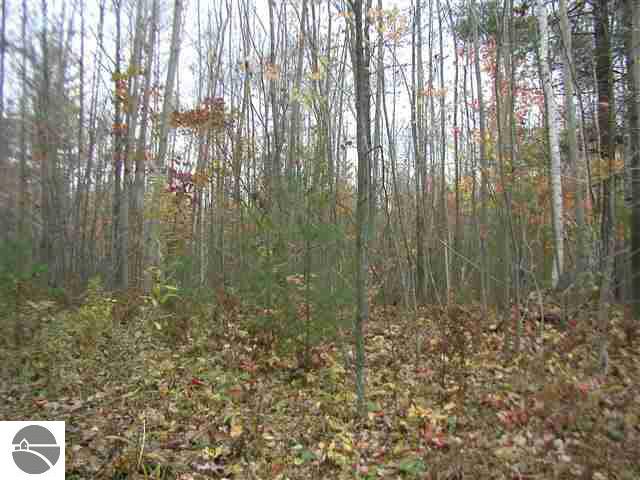 0 Walker Road Twining, MI 48766 - Photo 3 of 6 1763555-2.JPG