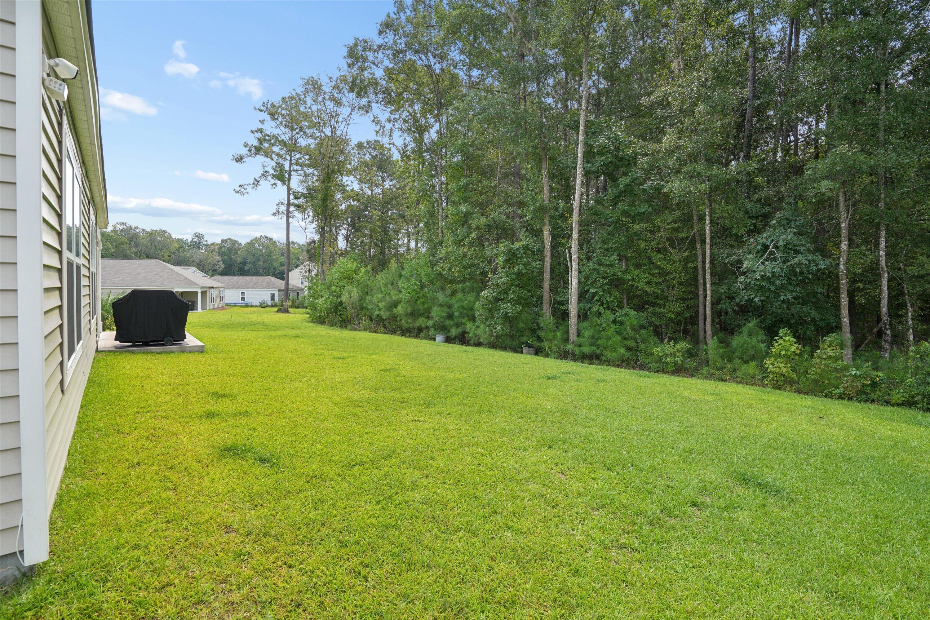 385 Spruce Ivy Street Moncks Corner, SC 29461 - Photo 15 of 18 View from the back