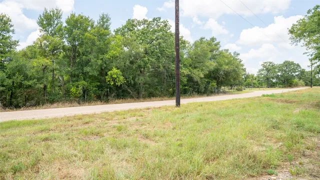 a view of a yard with a tree