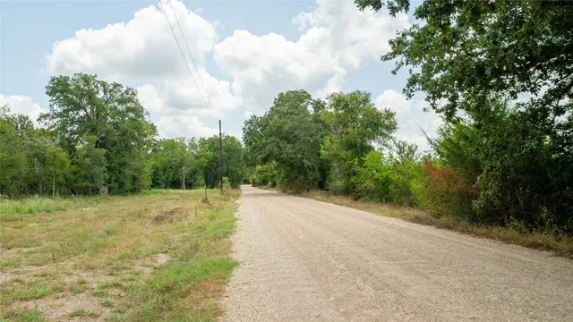 a view of a dry yard with trees