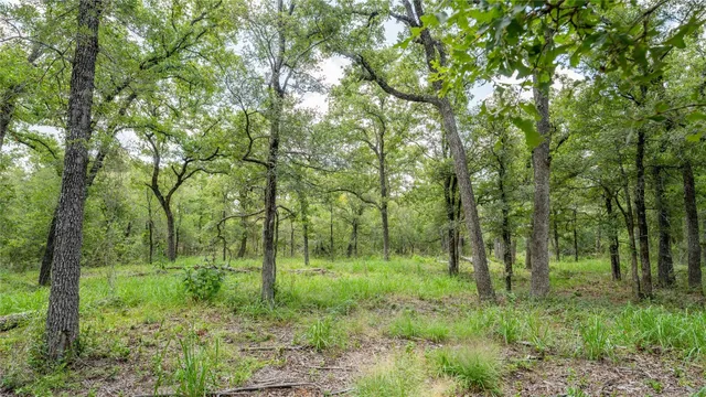 a view of outdoor space and green space
