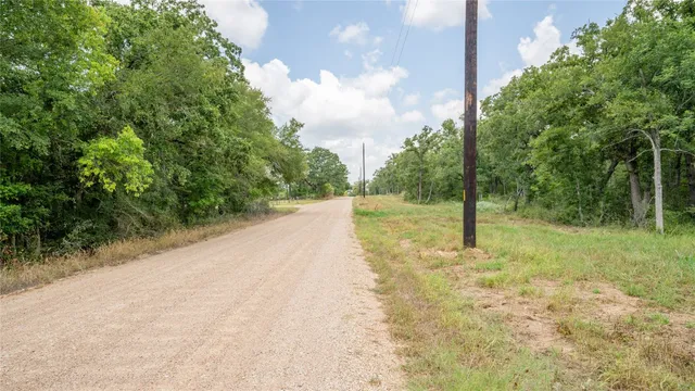 a view of a yard with a tree