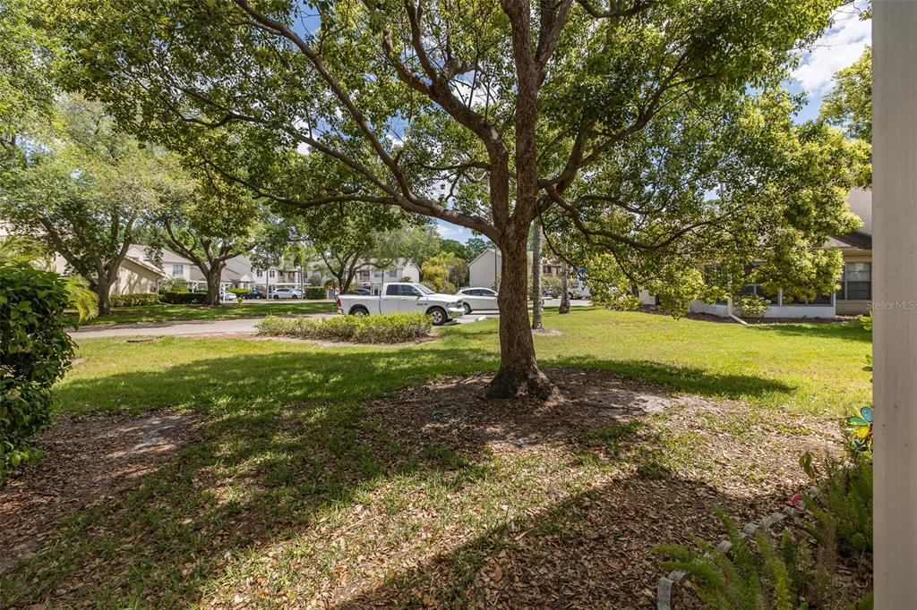 7900 Hardwick Drive, Unit 815 New Port Richey, FL 34653 - Photo 38 of 52