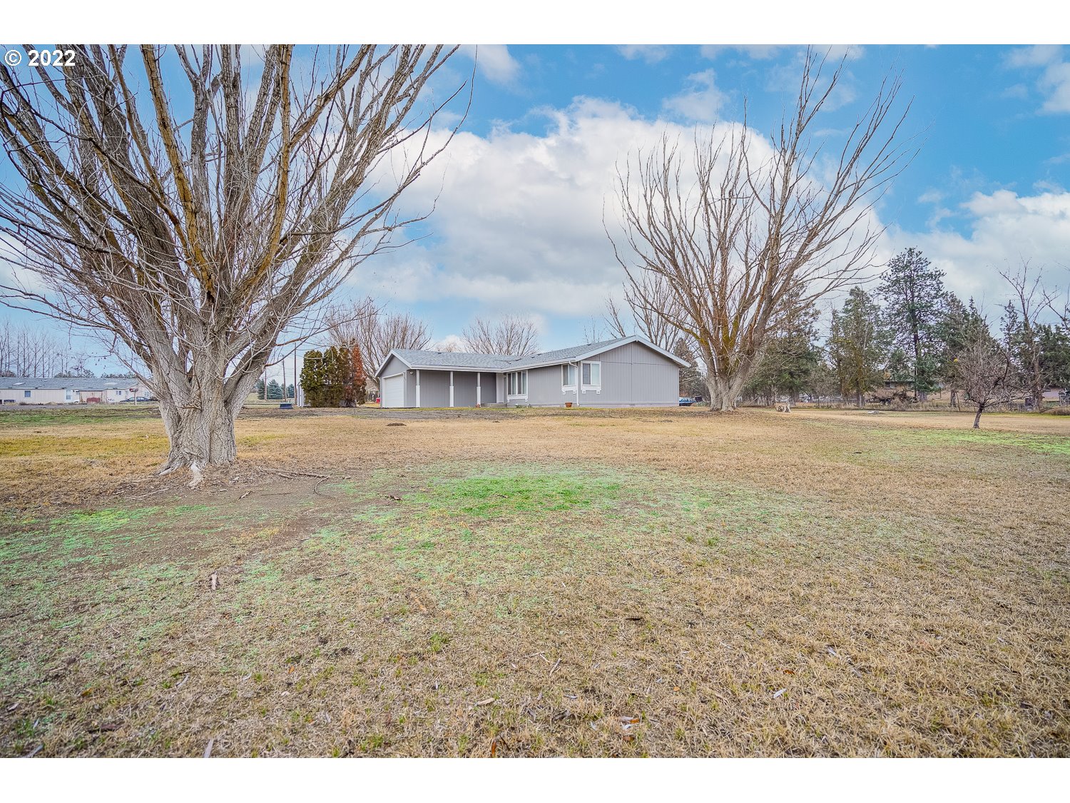 30668 Spring Court Hermiston, OR 97838 - Photo 5 of 23 a view of yard with tree s