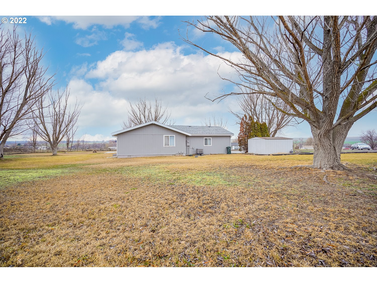 30668 Spring Court Hermiston, OR 97838 - Photo 7 of 23 a view of ocean view with a large tree