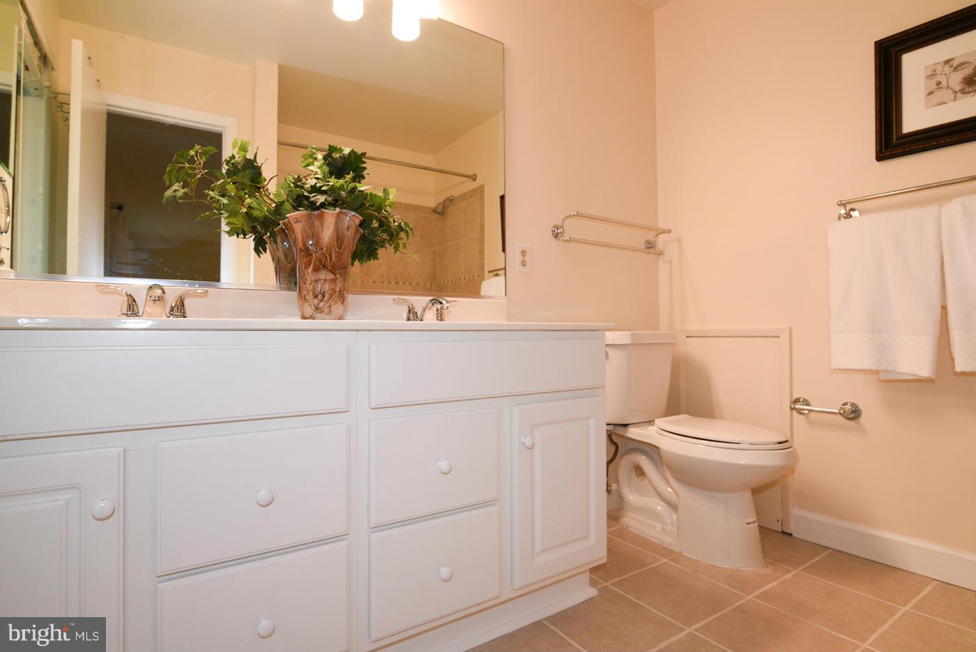 2072 Amberjack Court Reston, VA 20191 - Photo 14 of 30 Bath (Master)