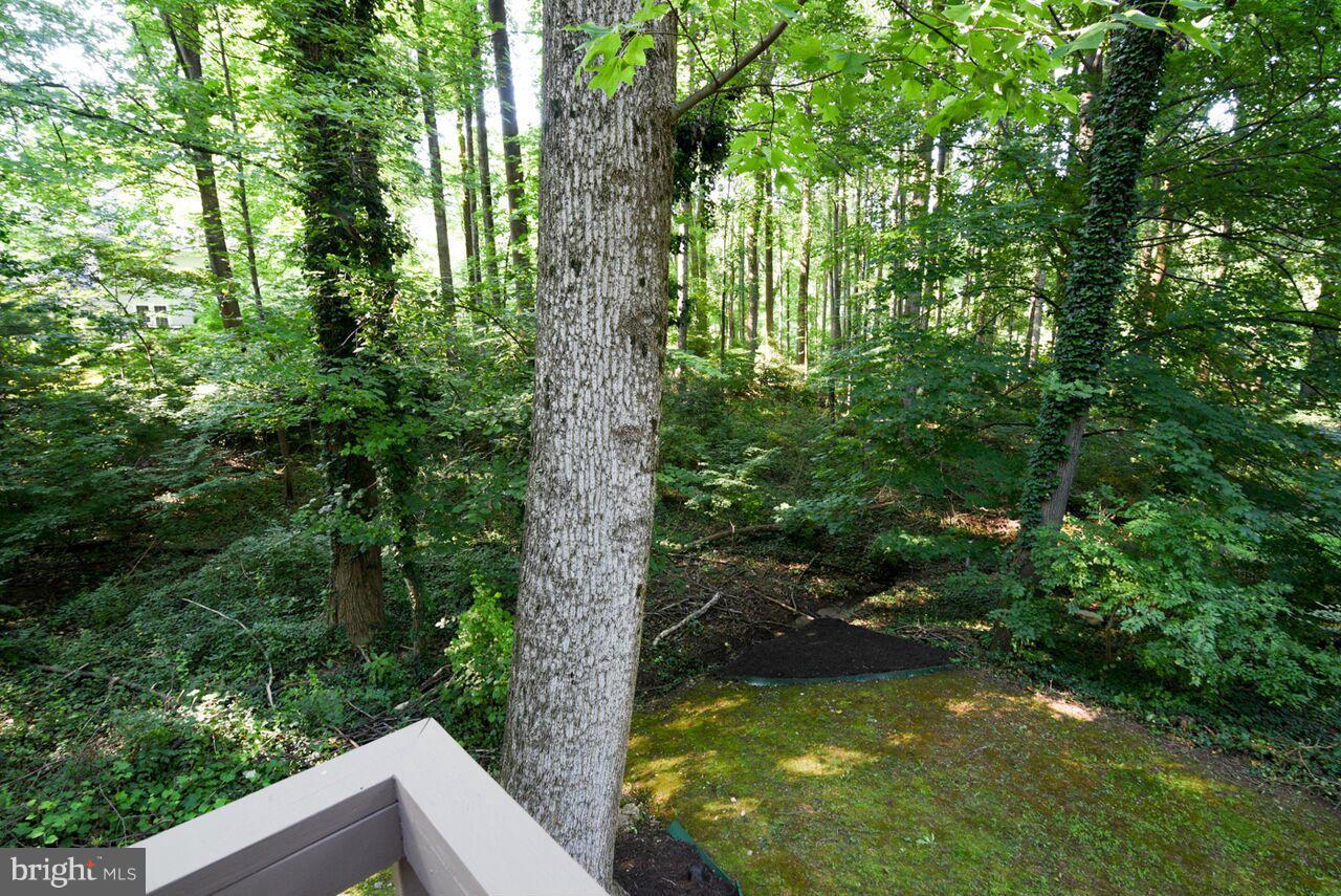2072 Amberjack Court Reston, VA 20191 - Photo 29 of 30 View