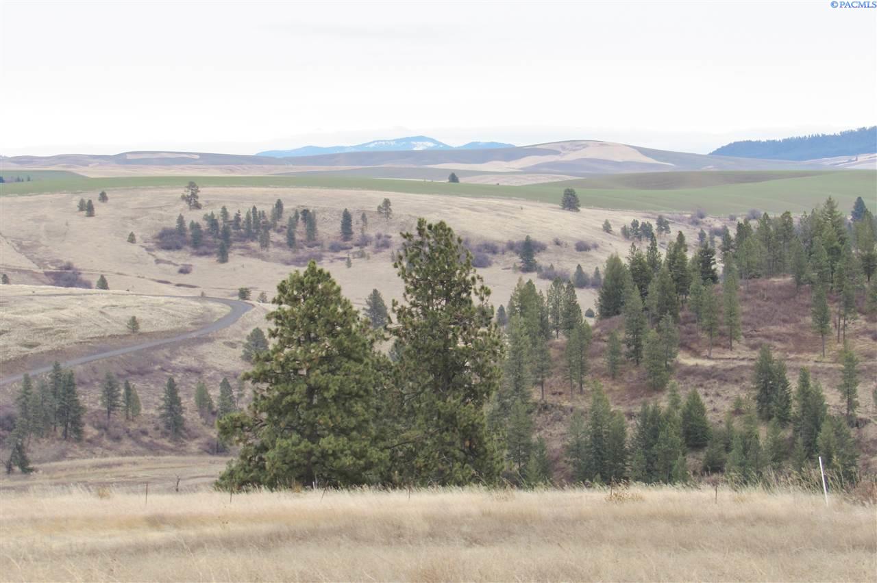 5 Red Tail Ridge Road Colfax, WA 99111 - Photo 1 of 1 Gallery Image 1