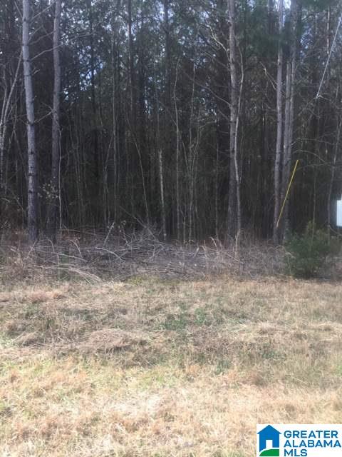 0 County Road 49, Unit 4 Ranburne, AL 36273 - Photo 4 of 14 Gallery Image 4