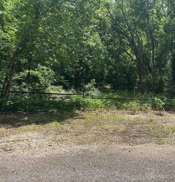 Bamboo Road Jennings, LA 70546 - Photo 1 of 3
