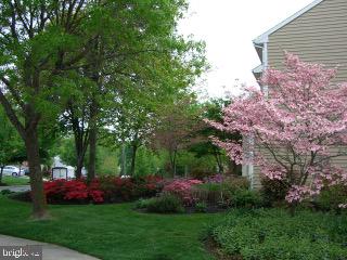 123 Rabbit Run Road Sewell, NJ 08080 - Photo 22 of 25 Side yard