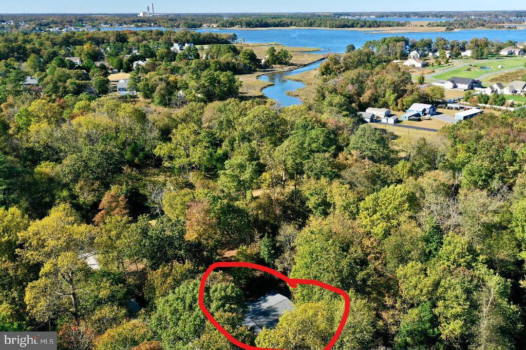 32474 Falling Point Road Dagsboro, DE 19939 - Photo 42 of 46 Aerial shots from the house.