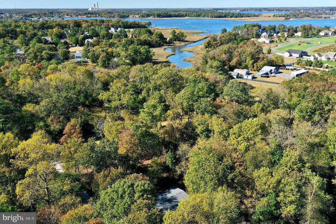 32474 Falling Point Road Dagsboro, DE 19939 - Photo 46 of 46 Aerial shots from the house.