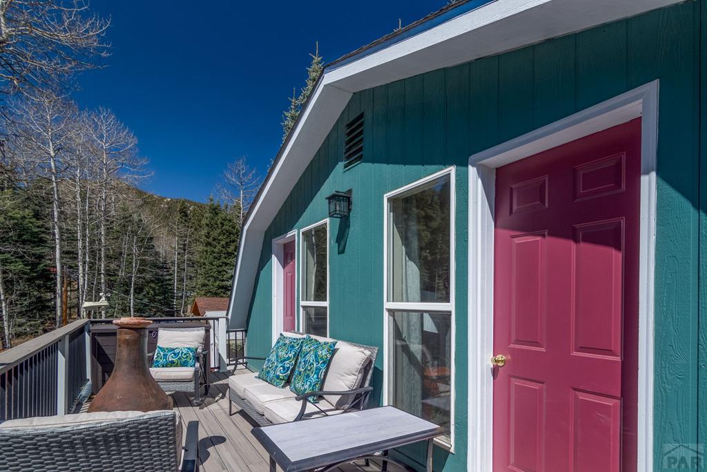 114 County Road 378 Rye, CO 81069 - Photo 40 of 58