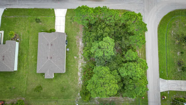 a view of a garden in a backyard