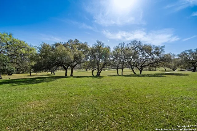 a view of a trees with a big yard