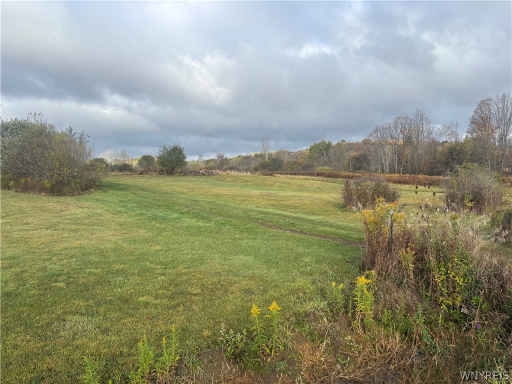 10087 Pratt Road Centerville, NY 14744 - Photo 1 of 5