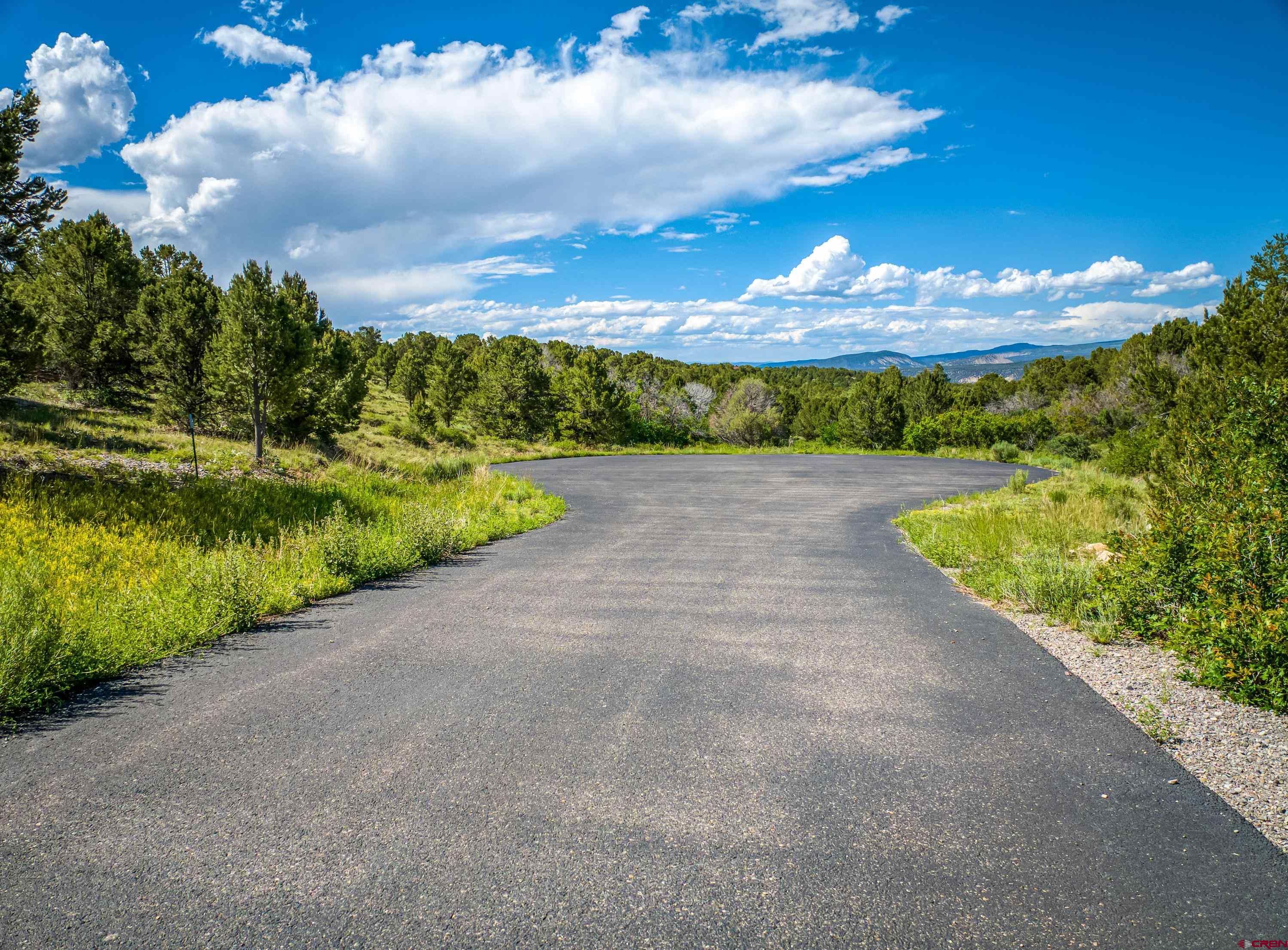 Lot 9 Pointe Escape Drive Ridgway, CO 81432 - Photo 27 of 33
