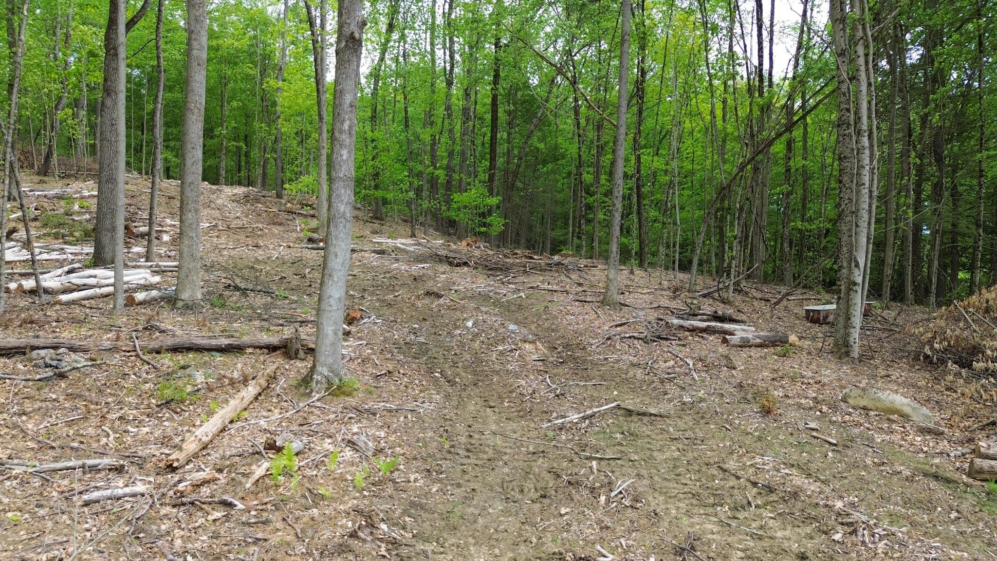 Lot 26-4 Plain Road Hinsdale, NH 03451 - Photo 9 of 28