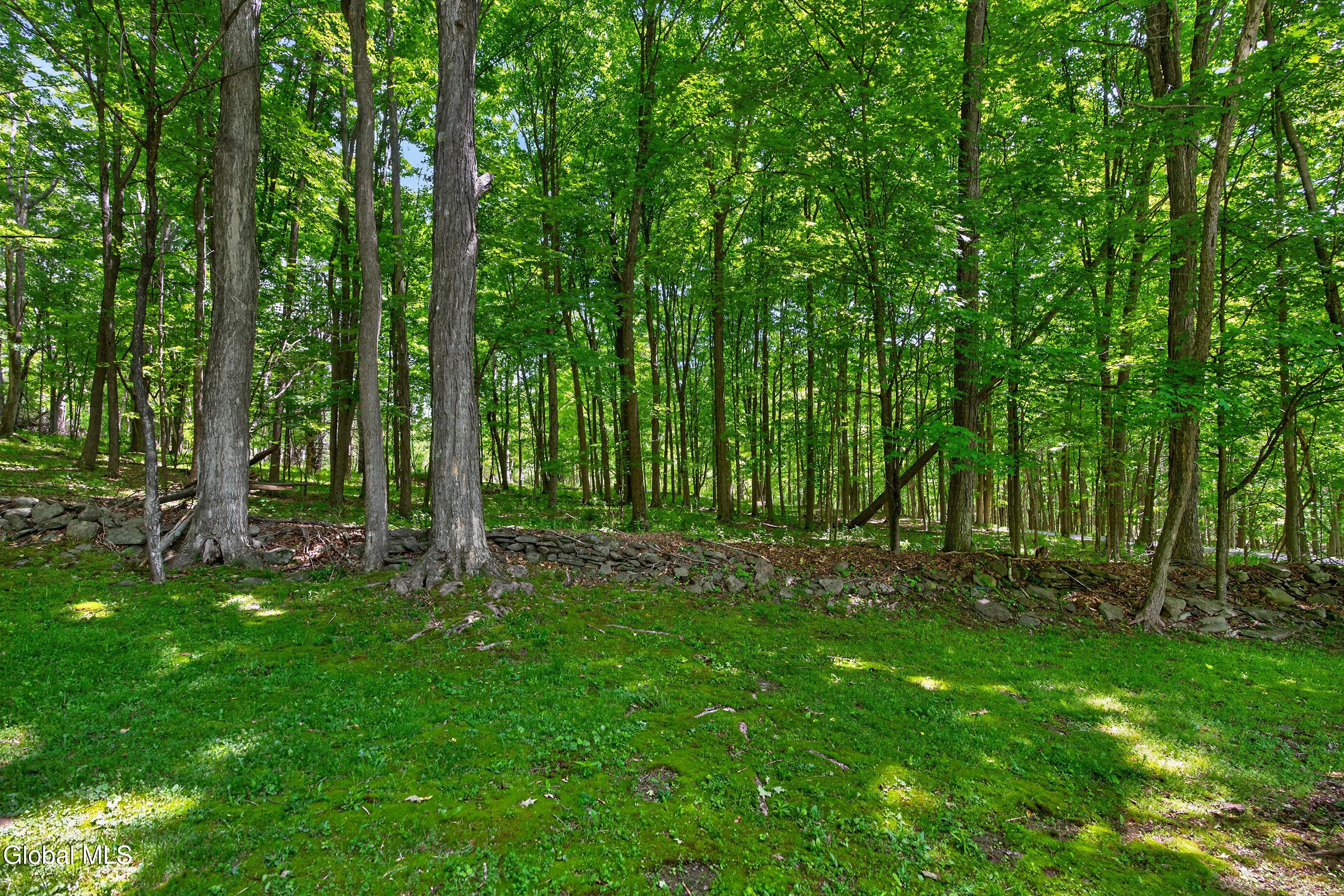 359 Seibert Road Rensselaerville, NY 12120 - Photo 54 of 67 022-359-Seibert-Road-Medusa-NY-12120