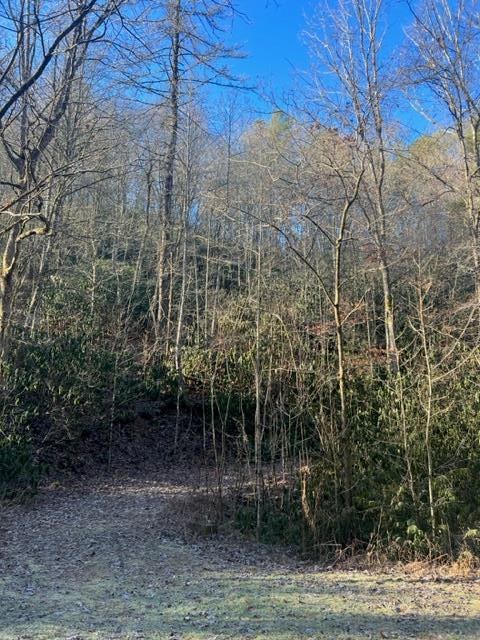 0 Poison Branch Road Robbinsville, NC 28771 - Photo 6 of 11 Gallery Image 6