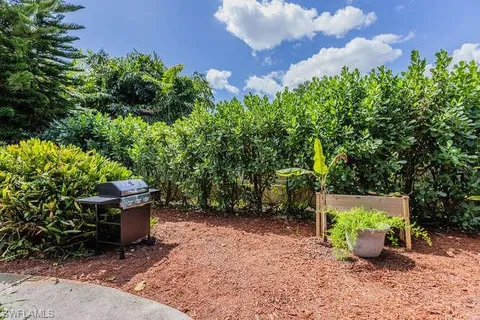 a view of a backyard with plants and a fountain