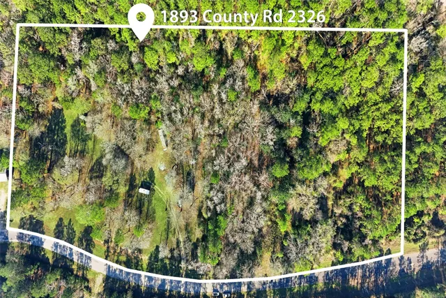 a view of a forest from a window