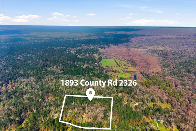 a view of a garden with plants