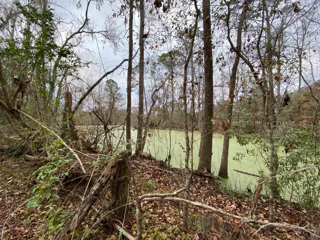 $325,000 | 2664 West Washington Highway, Monticello, FL 32344