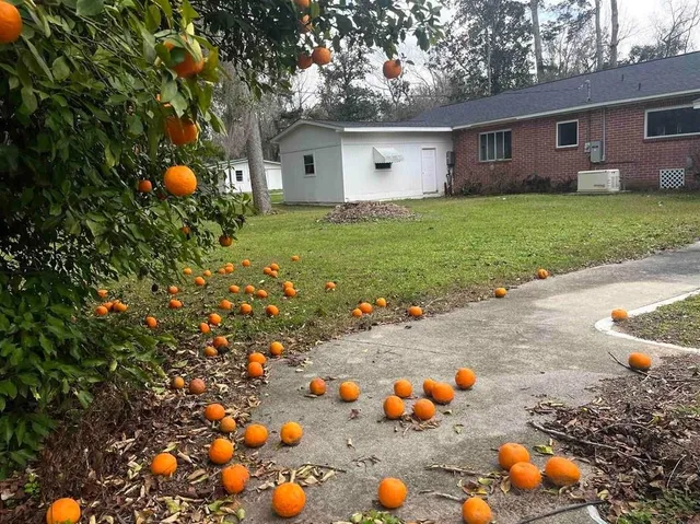 $325,000 | 2664 West Washington Highway, Monticello, FL 32344