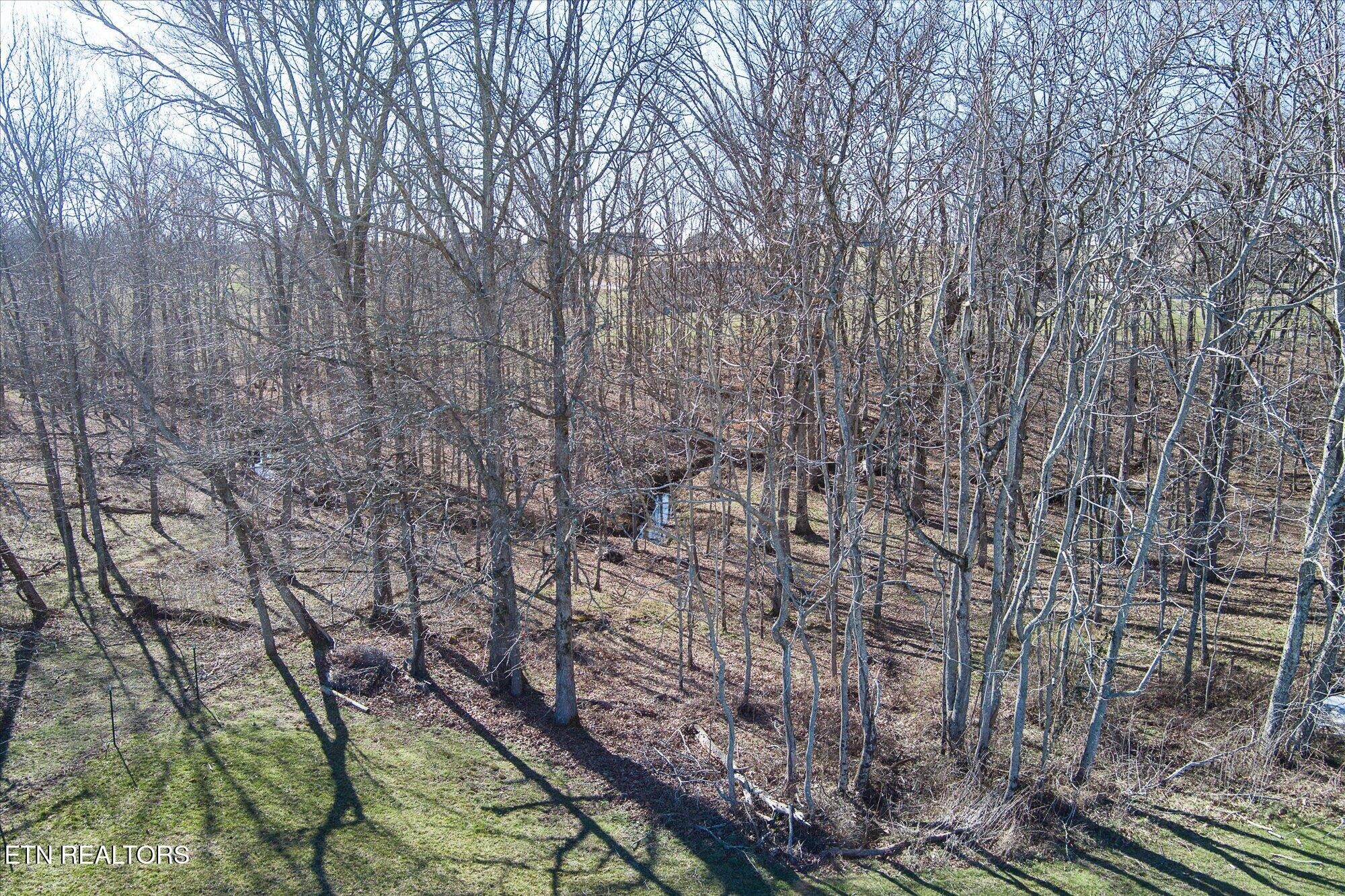 768 Winningham Road Crossville, TN 38572 - Photo 49 of 54 a backyard of a house with lots of green space