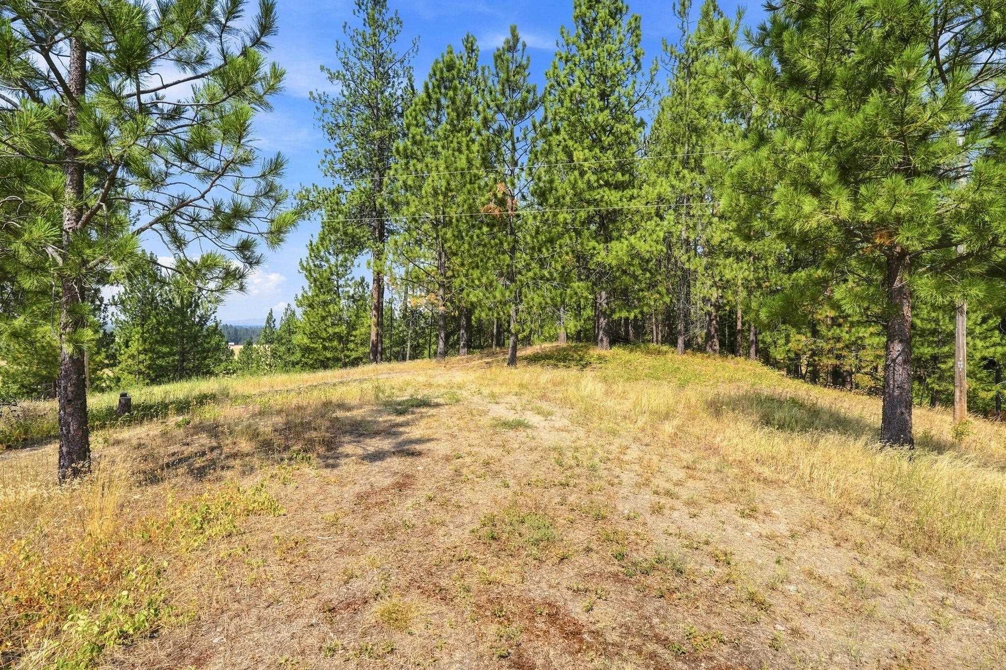 0 North Scotts Ridge Lane Chattaroy, WA 99003 - Photo 16 of 35 Gallery Image 16