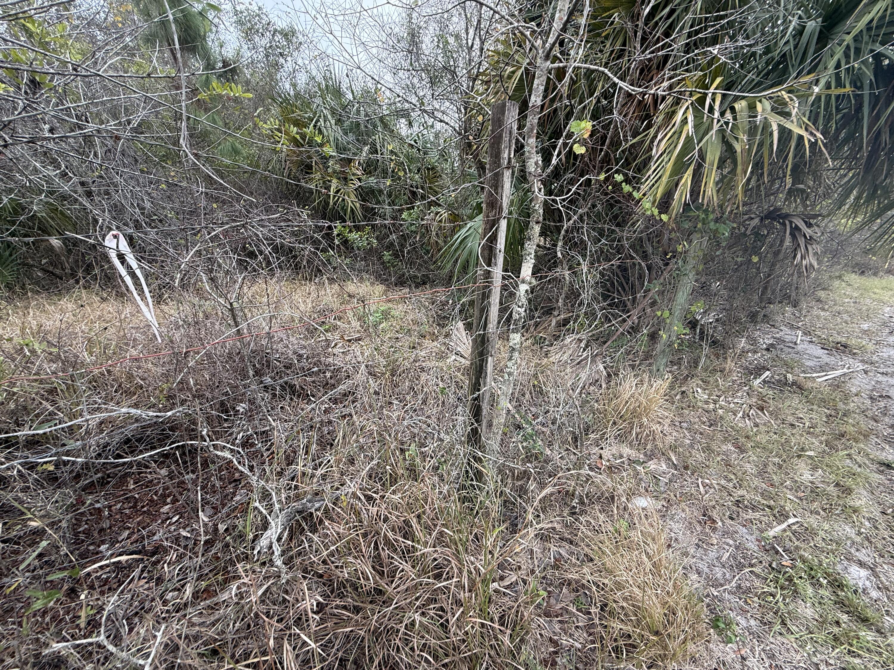 754 Hunting Club Avenue Clewiston, FL 33440 - Photo 25 of 31 IMG_9194