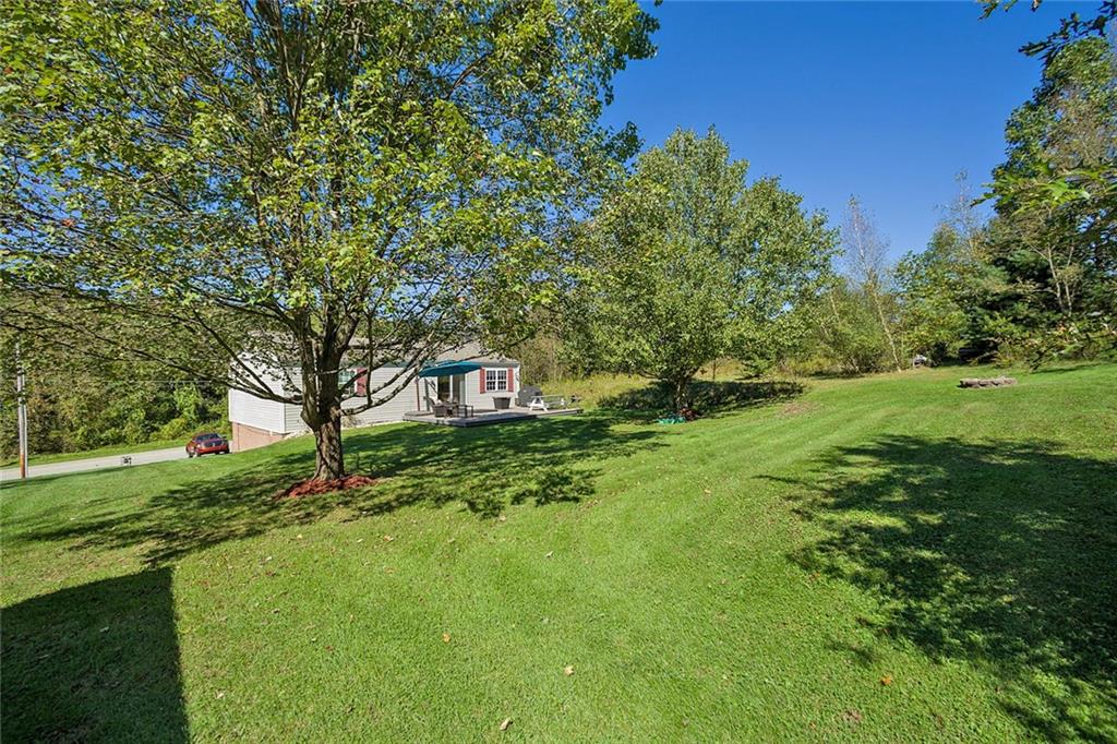 7326 Ringertown Road Export, PA 15632 - Photo 5 of 25 a view of a tree in a yard