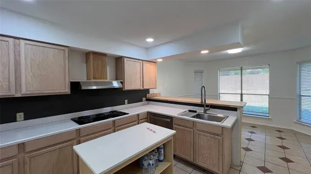 a kitchen with a sink a counter space and cabinets