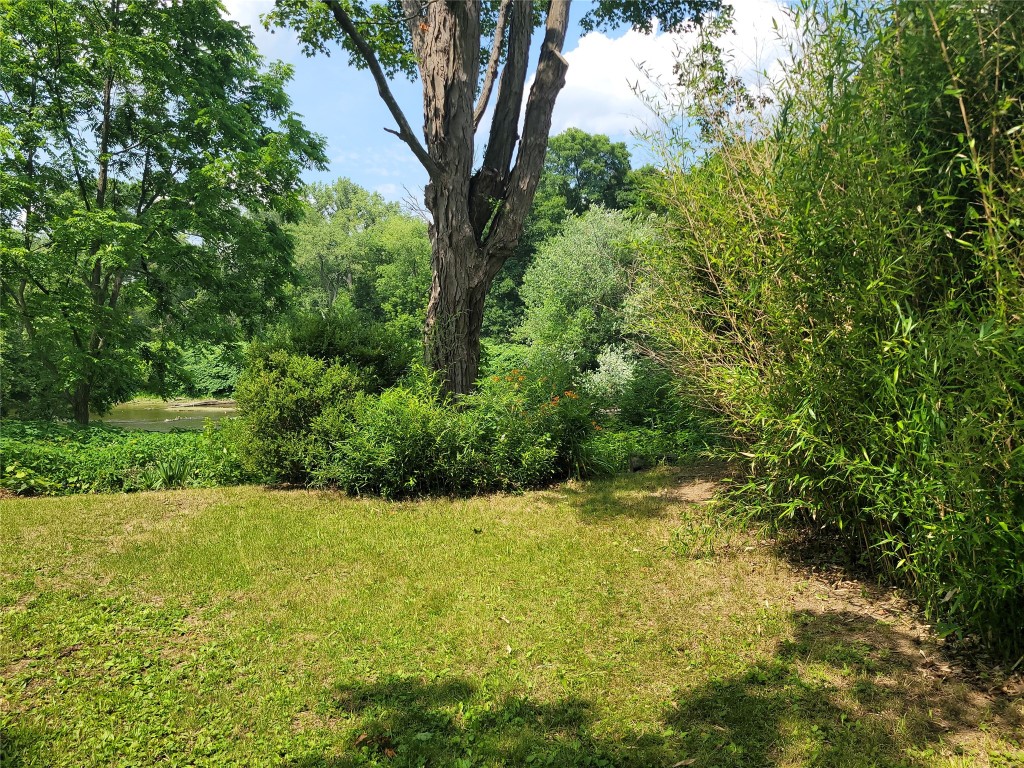 1389 West River Road Nichols, NY 13812 - Photo 18 of 19 Gallery Image 18