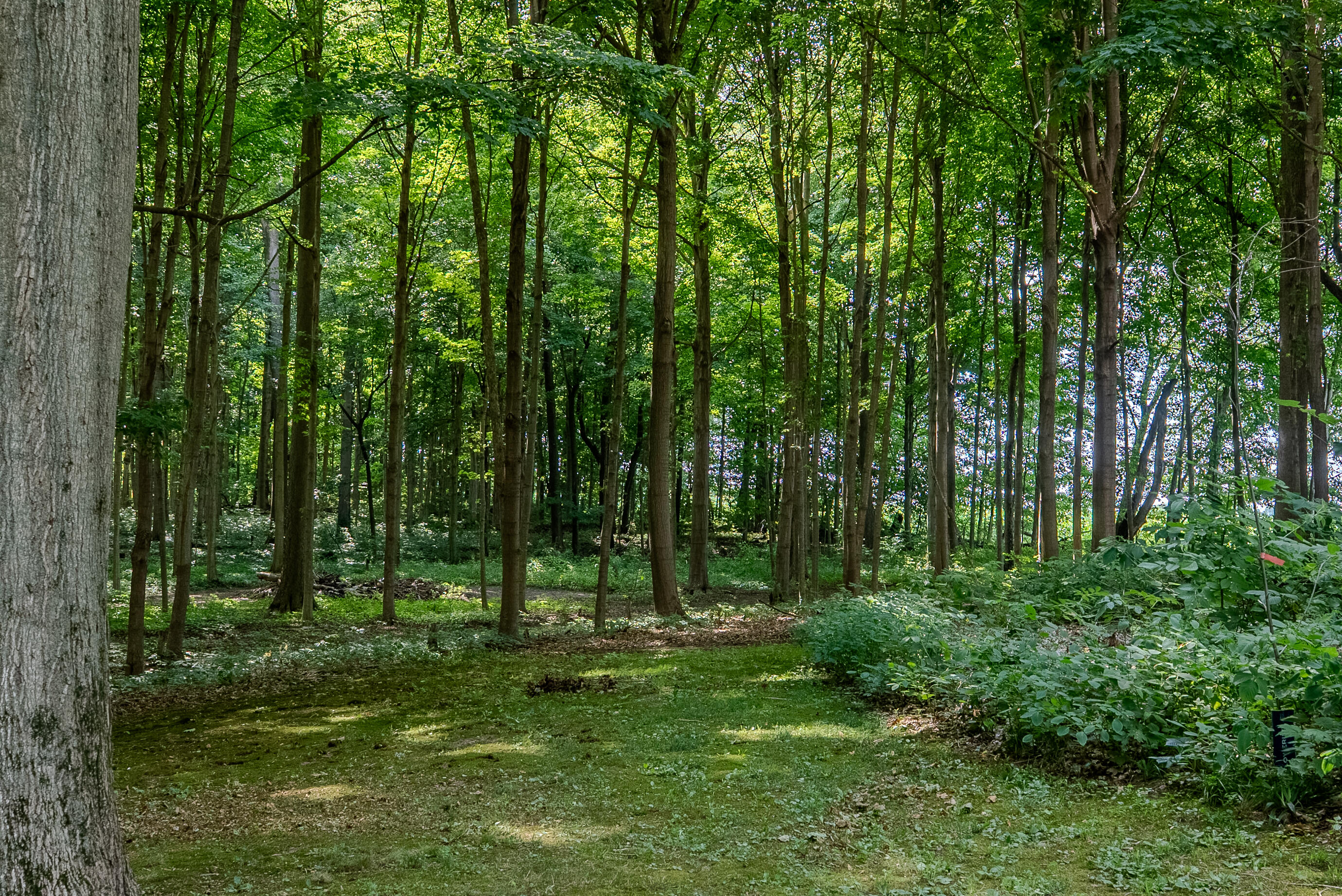 6361 East State Road 2 Rolling Prairie, IN 46371 - Photo 30 of 40 2759x1842