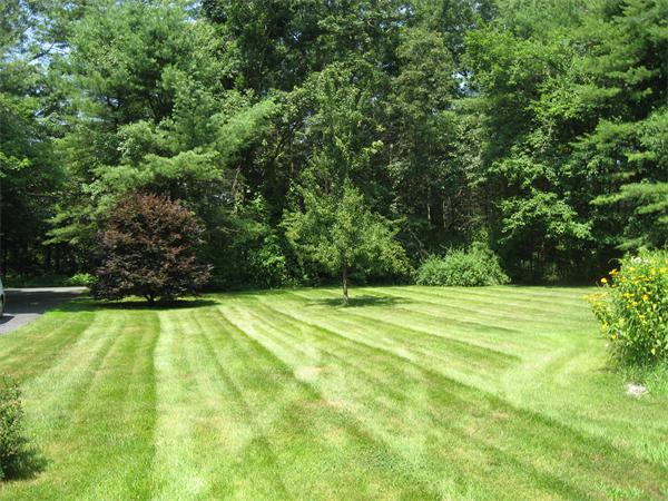 521 Michael Sears Road Belchertown, MA 01007 - Photo 20 of 26 Gallery Image 20