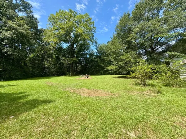 a view of yard with green space