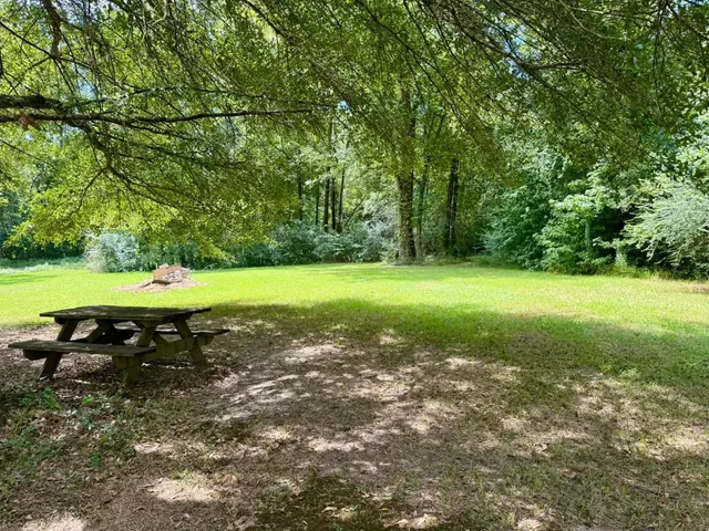 a view of a park with large trees