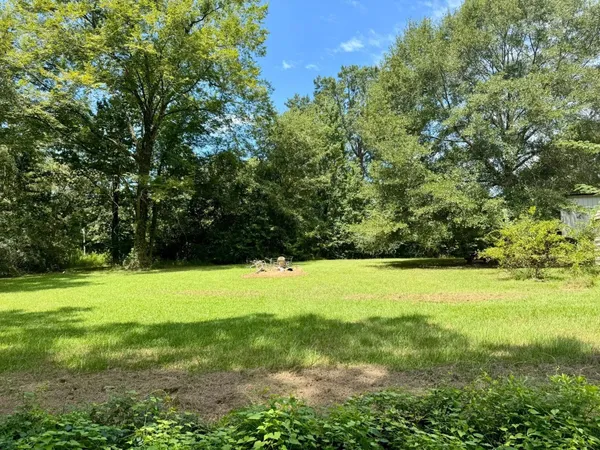 a view of a yard with a tree