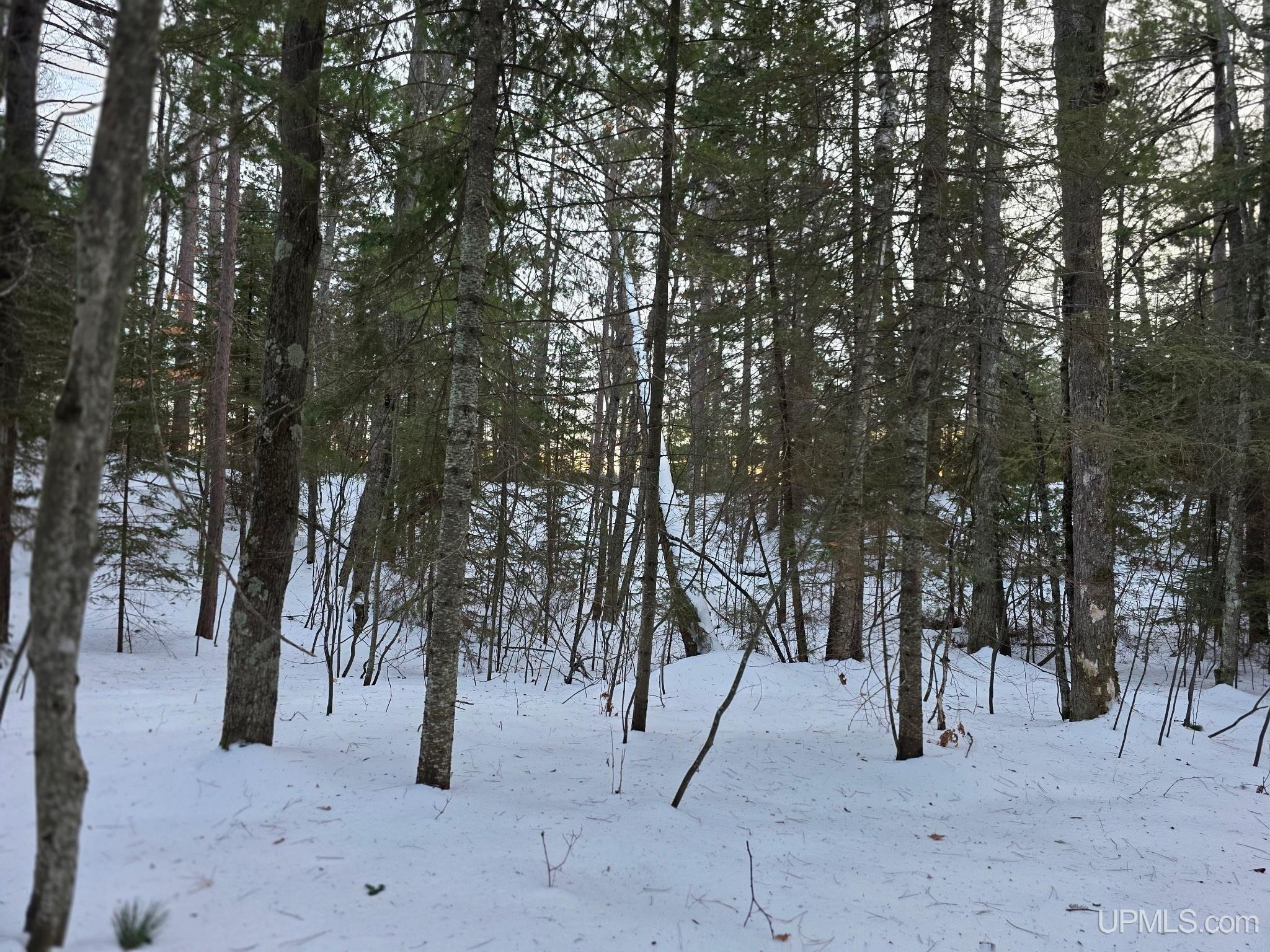 Tbd Sand Lake Road Marquette, MI 49855 - Photo 6 of 13