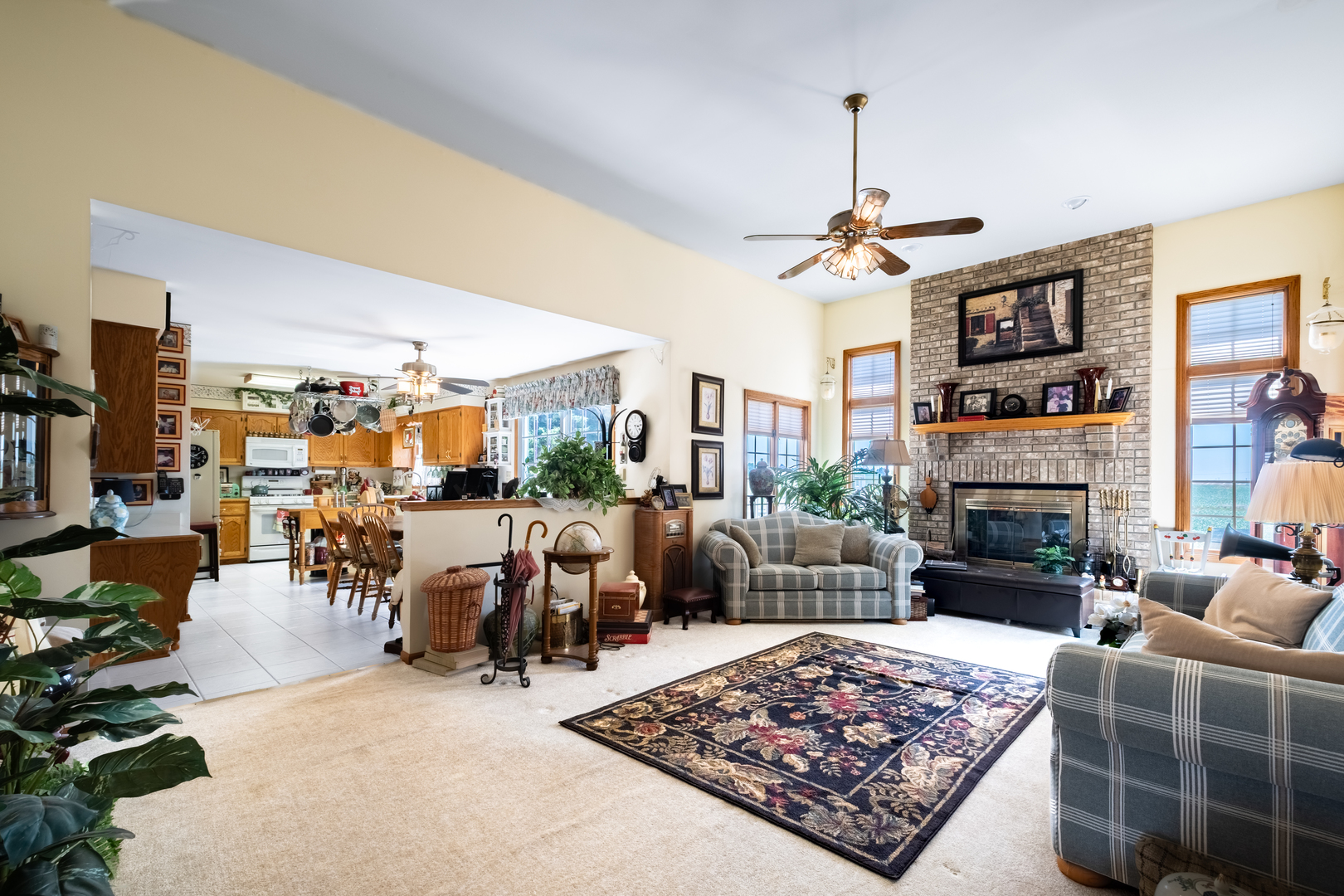 308 Calla Drive Manhattan, IL 60442 - Photo 12 of 30 a living room with furniture a rug and a fireplace