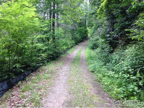 2 Laurel Br Road, Unit 2 Canton, NC 28716 - Photo 2 of 24 a view of a lush green forest with lots of trees