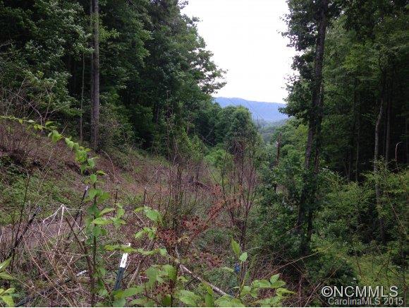 2 Laurel Br Road, Unit 2 Canton, NC 28716 - Photo 11 of 24 a view of a forest with trees