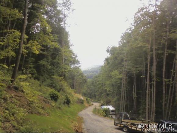 2 Laurel Br Road, Unit 2 Canton, NC 28716 - Photo 20 of 24 a view of a forest