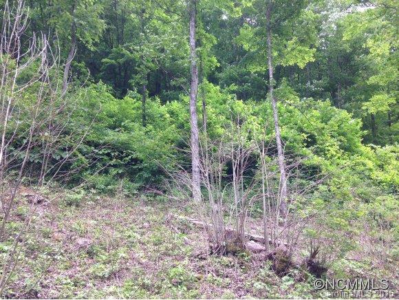 2 Laurel Br Road, Unit 2 Canton, NC 28716 - Photo 7 of 24 a view of forest
