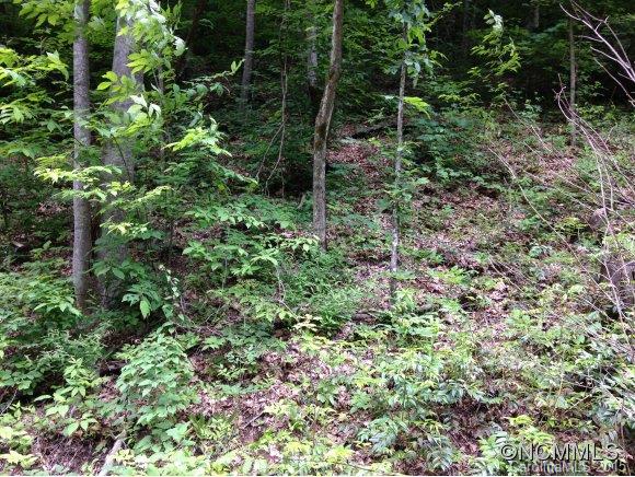 2 Laurel Br Road, Unit 2 Canton, NC 28716 - Photo 8 of 24 a view of a lush green forest